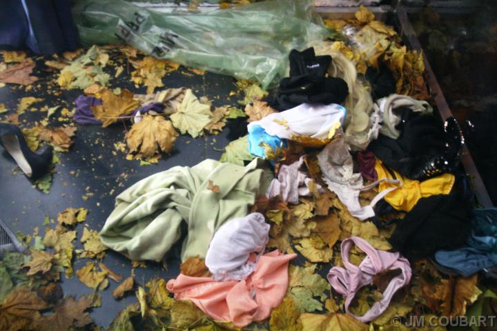 Diapositive suivante